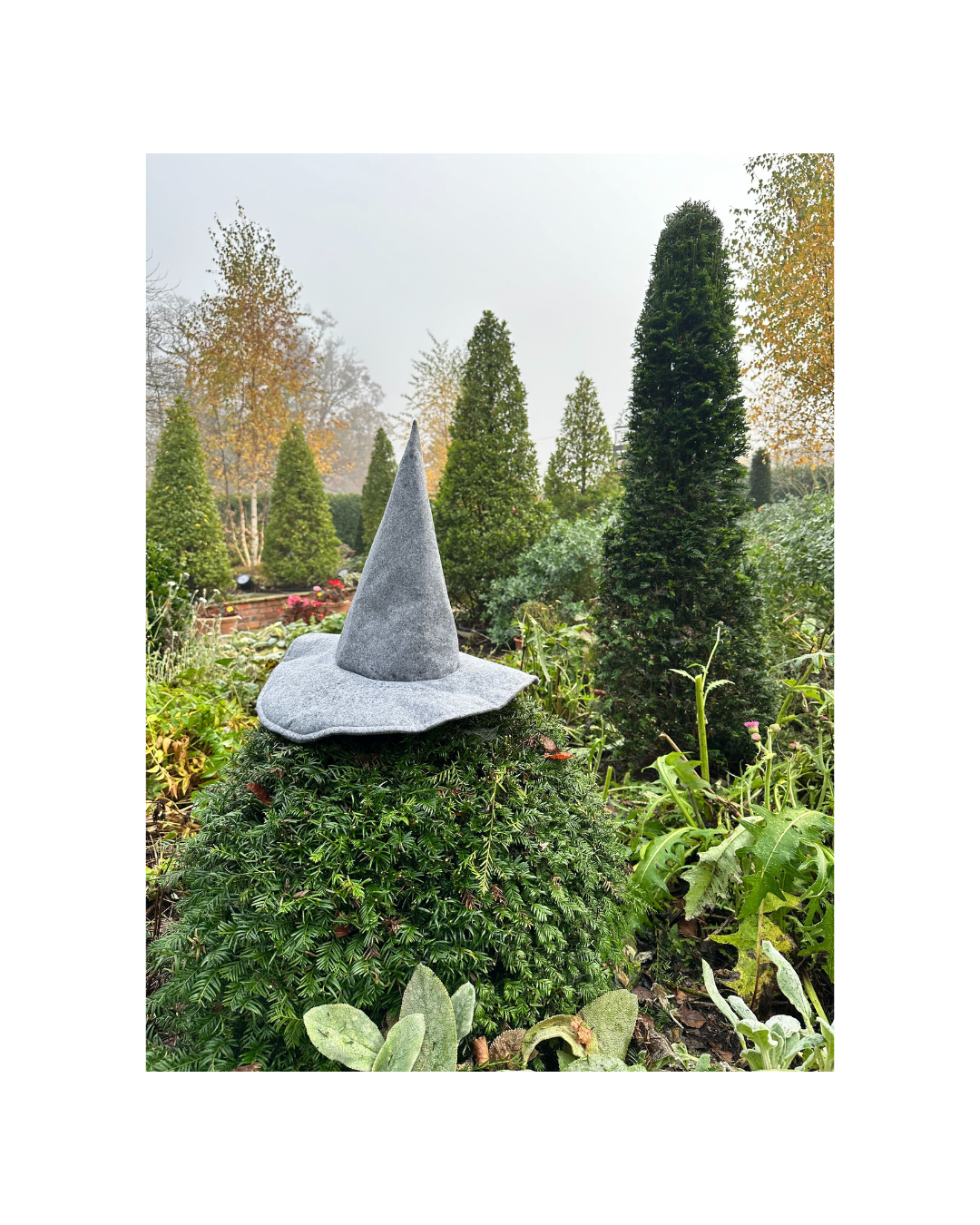 Everyday Grey / Gray Witch Hat