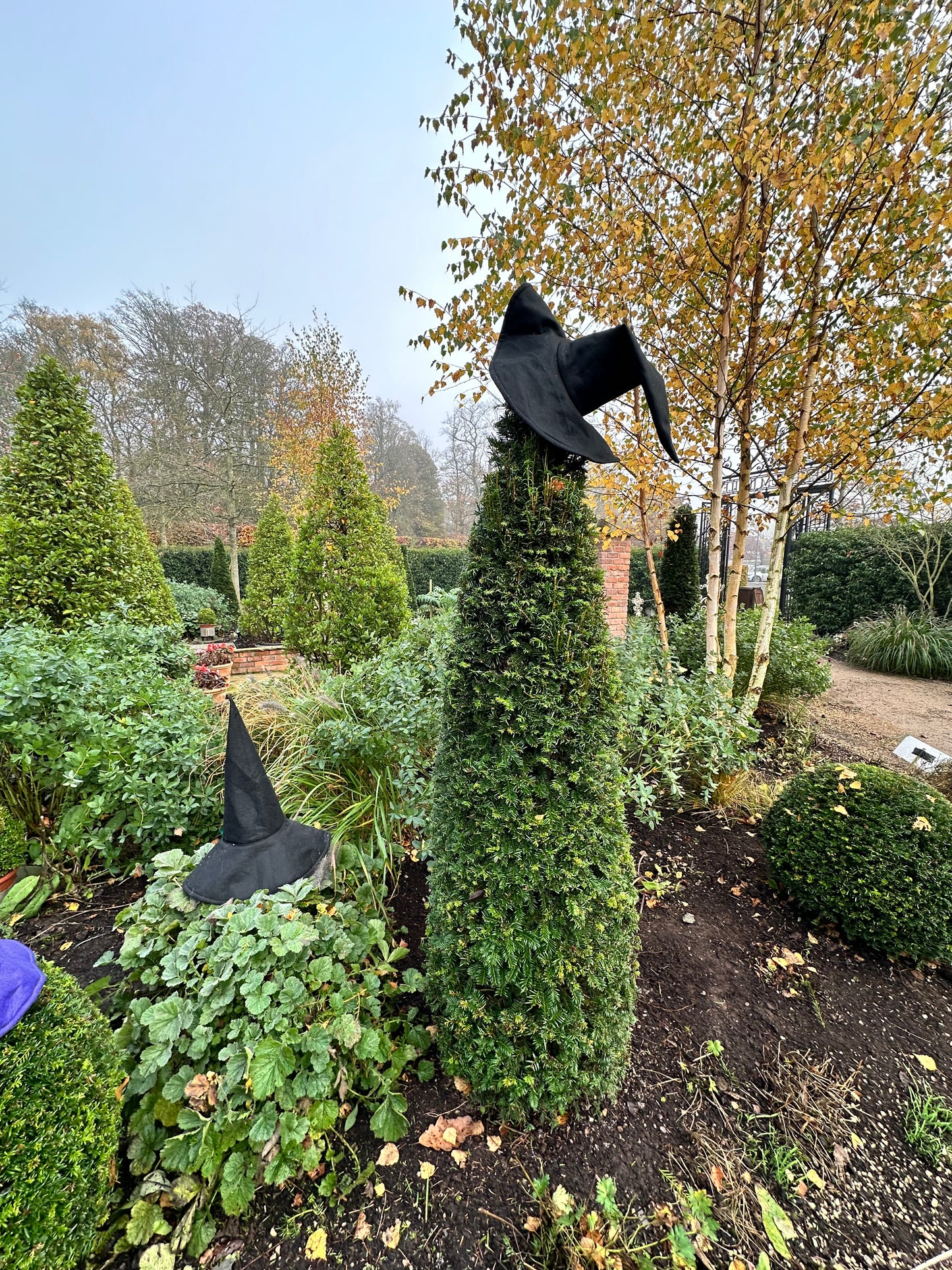 Black Statement Witch Hat