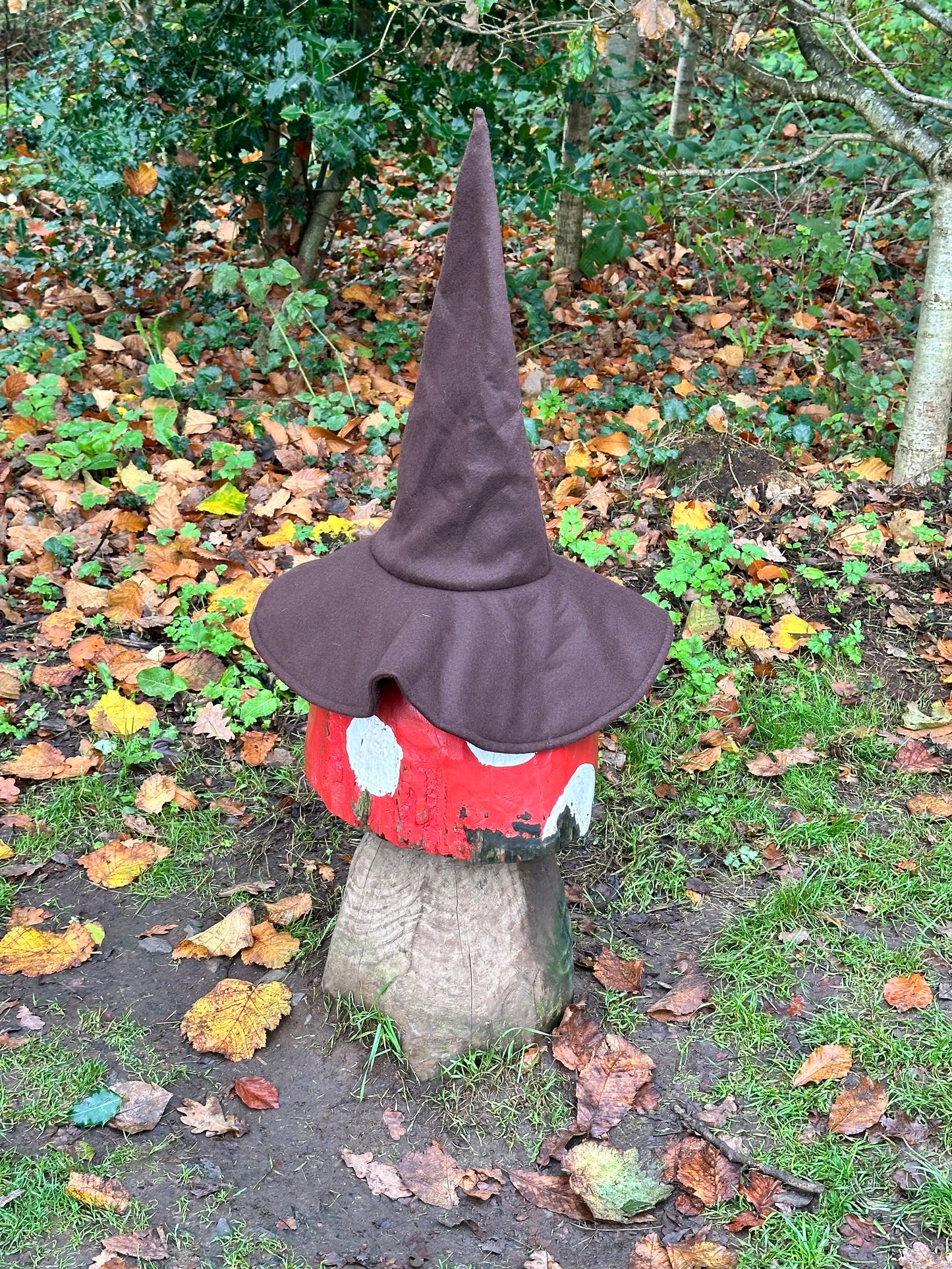 Brown Sloped Brim Wandering Wizard Hat