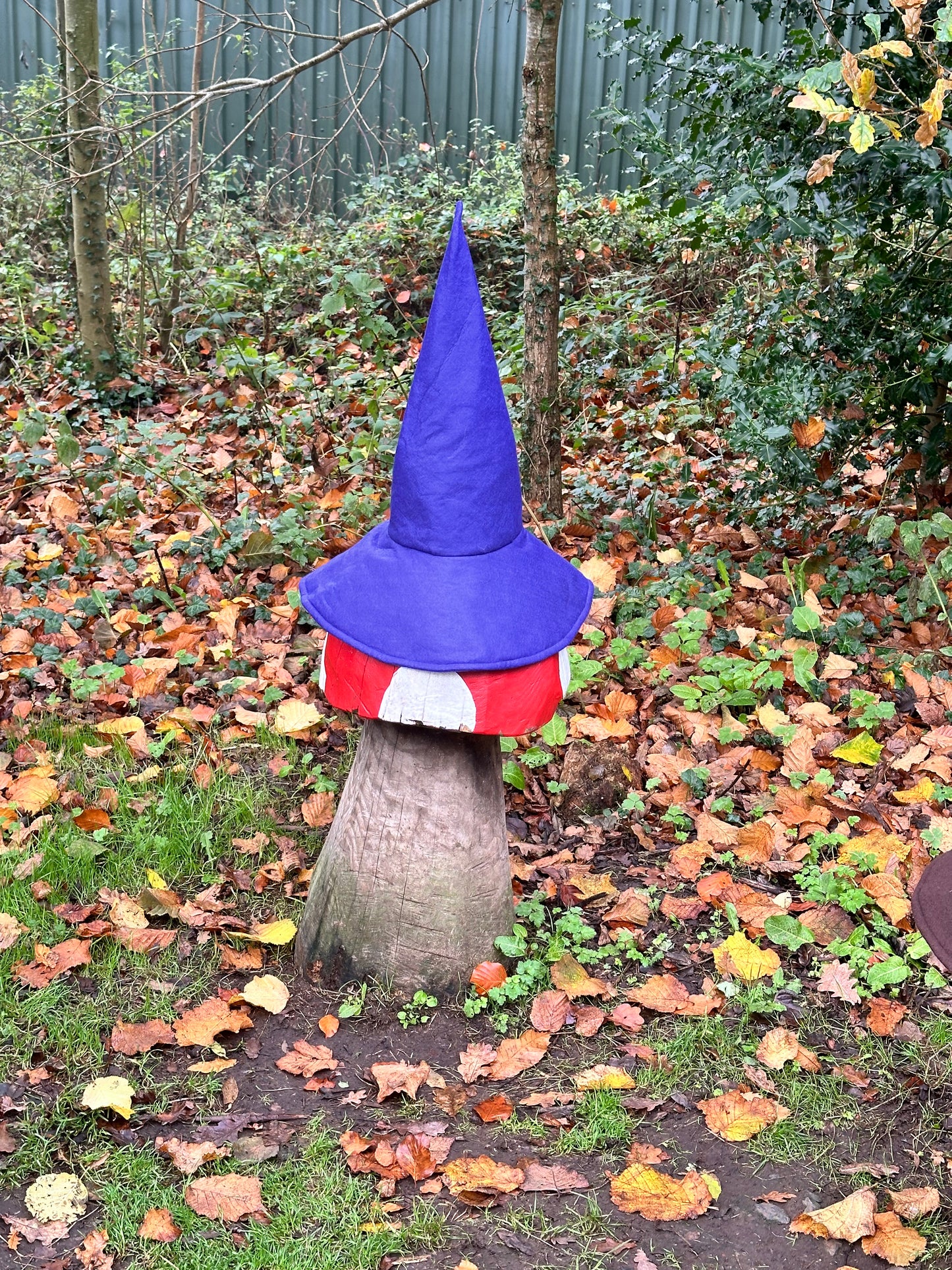 Purple Sloped Brim Wandering Wizard Hat