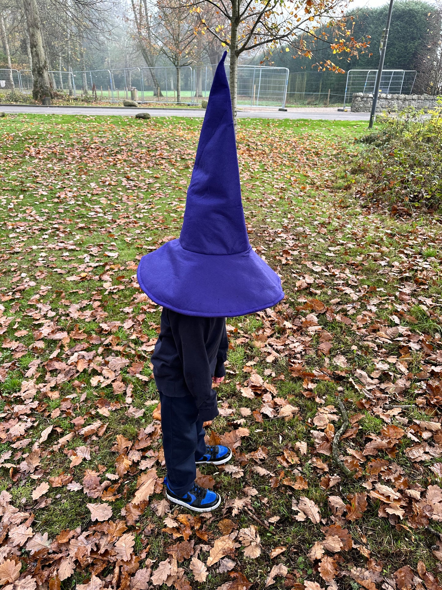 Purple Sloped Brim Wandering Wizard Hat